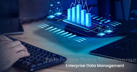 Enterprise Data Management Services